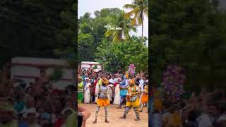 Oachira 28 Onam Puli kali 🐯 [upl. by Ahcmis]