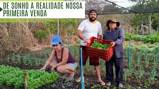 PRIMEIRA VENDA DA NOSSA HORTA ESTAMOS FELIZES DE VER O NOSSO TRABALHO DAR FRUTOS [upl. by Orodoet]