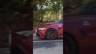 Alfa Romeo Giulia Quadrifoglio Sounds Awesome alfa alfaromeo driving exhaust shorts [upl. by Fisch887]