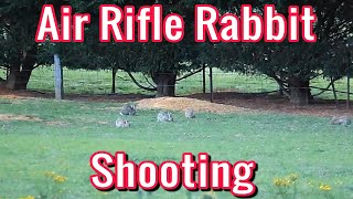 Air rifle rabbit shooting  22 Calibre  FX Impact [upl. by Parthenia]