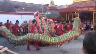 Video Barongsai Indonesia [upl. by Florina]