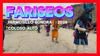 Fariseos del coloso alto 2024 [upl. by Marlena]