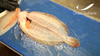 Direct Seafoods How to Fillet a Lemon Sole Flat Fish [upl. by Aifas]