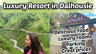 Hotel Mongas Dalhousie  Best Property in Whole Dalhousie  Mongas Hotel and Resort  Best Resort [upl. by Gassman]