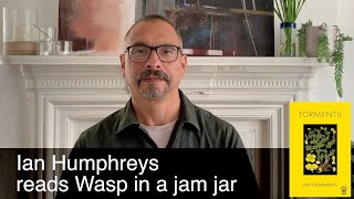 Wasp in a jam jar  a poem by Ian Humphreys [upl. by Conrad]