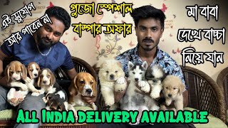 Home Breed Beagle Puppies😍💥 Low Price Puppy Sell in Kolkata  Recent Dog Puppy Price Update [upl. by Repip]