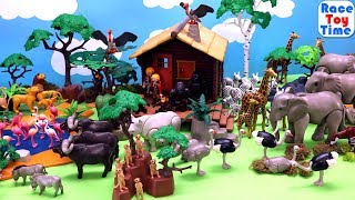 Playmobil Wildlife Safari Animal Toys Collection  Fun Animals Toys For Kids [upl. by Bowne]