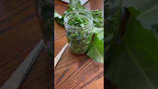 Wild Lettuce Tincture 🥬🥬😴😩 [upl. by Bihas]