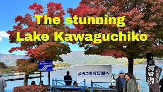 Japan Travel 2023 Tips – The Day We Saw Mt Fuji  Part 1 [upl. by Corson610]