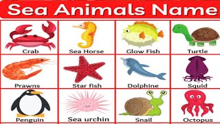 20 Water Animals Name In Hindi And English  Water Animals  जलीय जीवों के नाम  water animals [upl. by Louisa192]