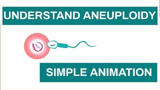 Aneuploidy in Humans Chromosome anomalies  Learn about Aneuploidy with This Simple Animation [upl. by Ilka]