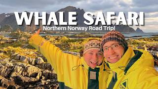 Whale Safari in Andenes and Road Trip to Alta Norway Whale2Sea Tour Sami Shop Reindeer Watching [upl. by Tinor]