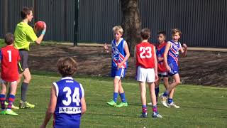 East Malvern Under 11 2018 Premiership AFL [upl. by Llertnek]