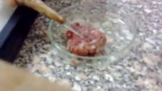 Ebers test  detect ammonia decomposed meat [upl. by Jasmina]