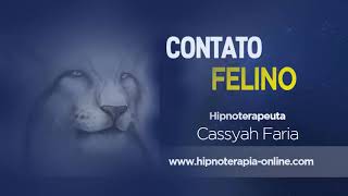 HIPNOSE REGRESSIVA COM CONTATOS EXTRAFÍSICOS  CONTATO FELINO 108 cassyahfaria [upl. by Prudi]