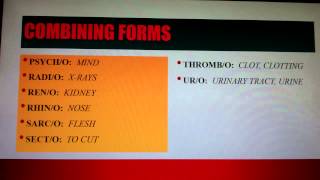 Medical Terminology Lesson 1 [upl. by Shelia]