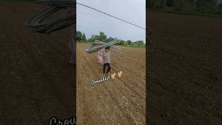 mini sprinkler irrigation system in groundnet crop agricuture farming [upl. by Rowen209]