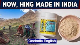 Hing or asafoetida to be grown in India  Indian spices  Oneindia News [upl. by Arrol]