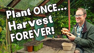 5 MustGrow Perennial Vegetables Harvest Year After Year 👩‍🌾 [upl. by Garnett33]