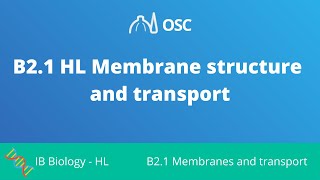 B21 HL Membranes and Transport IB Biology HL [upl. by Ahael436]