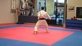 Warren Levi Karate  Taikyoku Shodan  Normal Speed [upl. by Gleason]