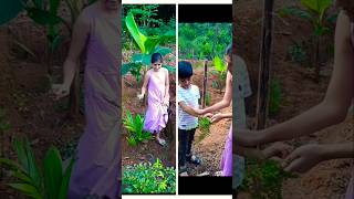 തൊടിയിലൂടെ🪴🪴 fern plant പന്നൽ ചെടി youtubeshorts shortsfeed kerala malayalam viralvideo [upl. by Nawiat]