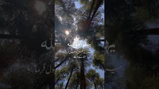 Rehman ya Rehman by Mishary Rashid naat naatsharif islamicshorts shortsvideo [upl. by Akemehc]