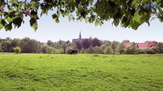 850 Jahre Kloster Loccum  die neu restaurierte Klosterkirche und Abt Horst Hirschler [upl. by Derick]