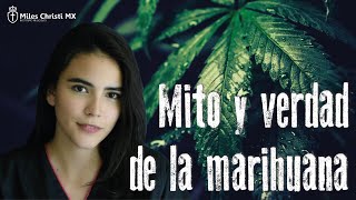 ¿Qué hay con fumar marihuana ¿Legalizar el cannabis es inteligente [upl. by Ivets]