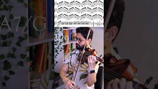 Rieding op 24 violin violinist [upl. by Ahseenyt]