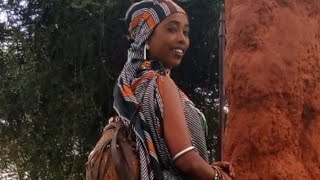 New BORANA OROMO Music2019 by GORDO DALACHAFaaruu Loonii [upl. by Oirobil]