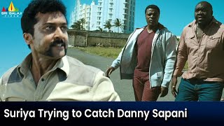 Suriya Trying to Catch Danny Sapani  Singam  Telugu Action Scenes SriBalajiAction [upl. by Astto174]