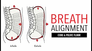 Breathing Alignment Core amp Pelvic Floor Intra Abdominal Pressure [upl. by Hcone]