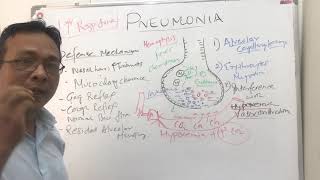 Pneumoniapathophysiology [upl. by Prosper]