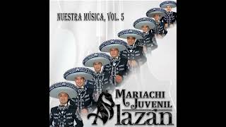 Pescador de Hombres  Mariachi Juvenil Alazán Cover [upl. by Gotcher529]