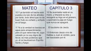 LA BIBLIA HABLADA quot SAN MATEO quot COMPLETO NUEVO TESTAMENTO [upl. by Ellatsyrc441]