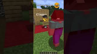 ethobot VS animalmace in minecraft 😱 shorts [upl. by Laraine970]