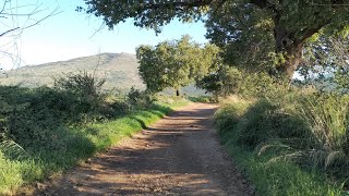 Da San Vittorino a San Gregorio da Sassola RM a piedi luoghisegretiaduepassidaroma [upl. by Nrubua]