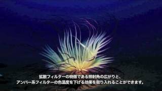 LX24HID水中ライトの紹介 [upl. by Lorita]