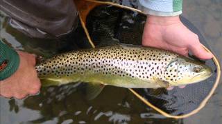 Catskills Fly Fishing [upl. by Hannavahs452]