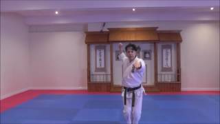 Karate Kihon commentary 2 by SKIF Sensei Katsu TJShuhari Shotokan Karate Association [upl. by Elleved]