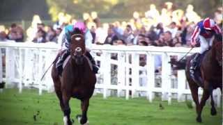 The Frankel Story  BBC Sport [upl. by Seaman]