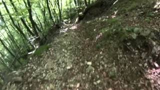 Madonna della NeveAvio MTB Downhill [upl. by Ailerua993]