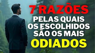 7 razões IMPORTANTES pelas quais os escolhidos são os mais odiados motivação cristã [upl. by Ephrem217]