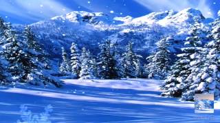 Winter Pro Live Wallpaper Free And Paid Version Available [upl. by Church]