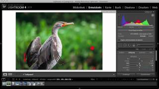 Lightroom 4 beta  Softproof [upl. by Sherborn4]