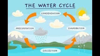 WATER CYCLE💧 The water cycle process  How Rained Is Formed [upl. by Tychon]