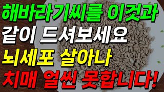 해바라기씨를 이것과 같이 드셔보세요 치매 얼씬 못합니다 치매 예방에 좋은 음식 [upl. by Sneed540]