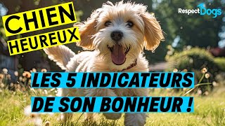 Comment savoir si mon CHIEN est HEUREUX [upl. by Marmion]