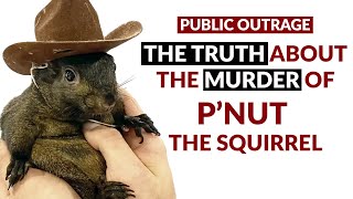 PUBLIC OUTRAGE The TRUTH about the murder of PNut The Squirrel [upl. by Aneeb]